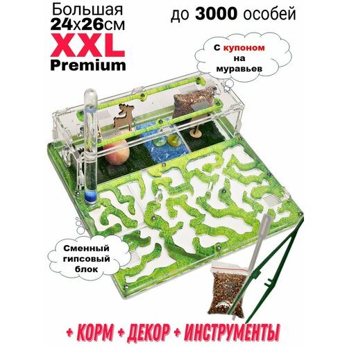     XXL Premium 24*26      -     , -  