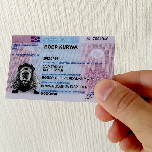    bobr kurwa (Bobr kurvva) 8656     -     , -  