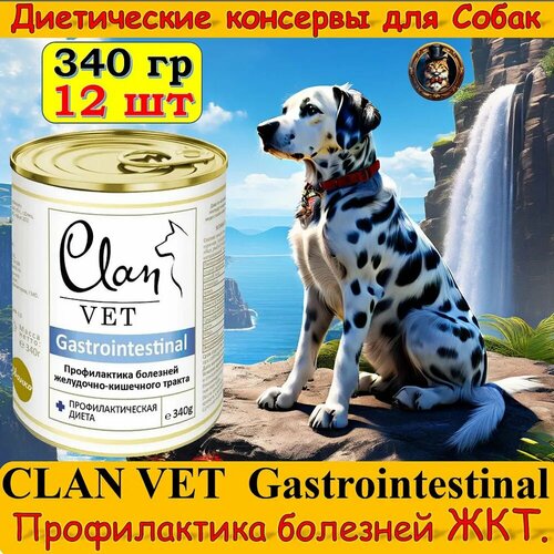       CLAN VET GASTROINTESTINAL    , / 340 *12    -     , -  