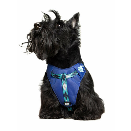 ���� ������ � �������� ��� ����� Japan Premium Pet ��� �������� � ���������� � �������� �������� �������������� �������, ������ S, ������ ������