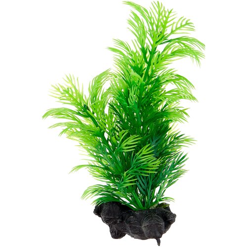    Tetra DecoArt Green Cabomba () 15    -     , -,   