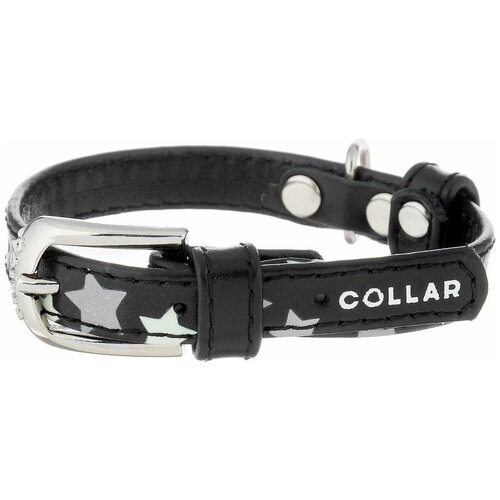   COLLAR GLAMOUR   