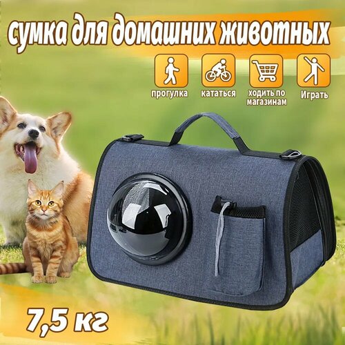 ���� ����� ��������� ��� �������� ���������, � �������� , 44�27 ��, �����, ��� �����, ��������, �����, �������, ��������, ���� �����, ������ ������