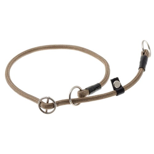 ���� �������� ���� ������� ZooOne (co ��������) � 2-� �������� ������� 6 ��, ����� �������� 50 ��, ������ ��� 50 ��, 1 ��., ���������, ������ ������