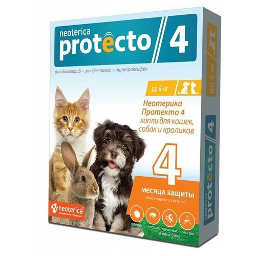   NEOTERICA     Protecto      4 , , 2 .   -     , -,   