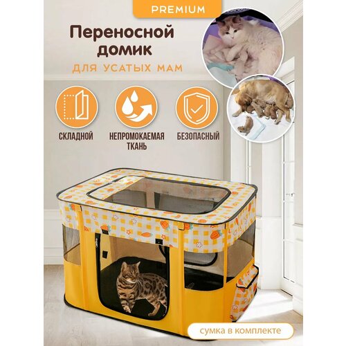 ���� �������� ����� ��� �������� ��� ����� � �����, ������ ������