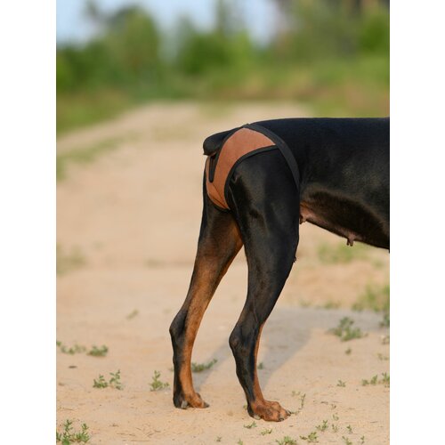 ���� ����� ��� ����� ������������, �. L (����� 33-52, ������� 40) ���� ����������, ������ ������