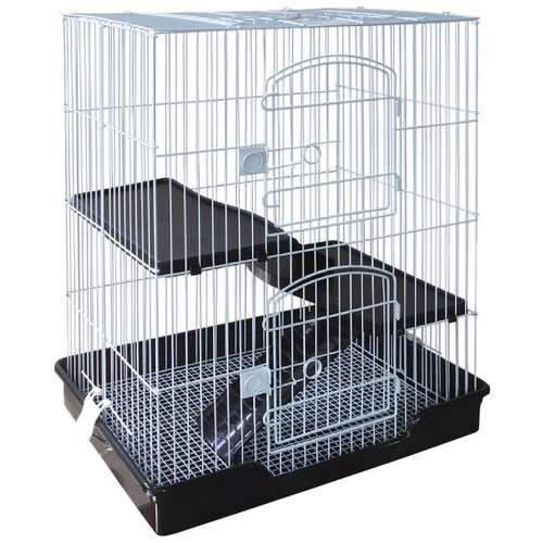 ���� ������ ��� ������ �������� 