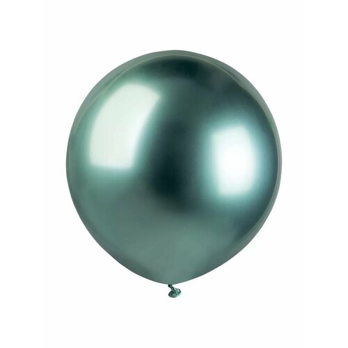 ���� ���� ������� , ������ / Shiny Green, ��������� ���, 48 ��, 1 ��, ������ ������