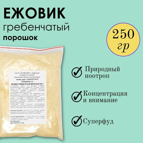 ���� ���� ������ 