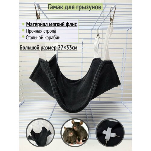 ���� ����� ��� �������� 