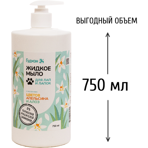 ���� ������ ���� 