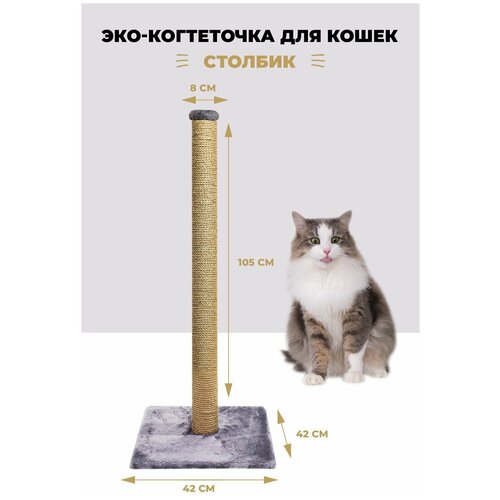 ���� ���������� ������� 