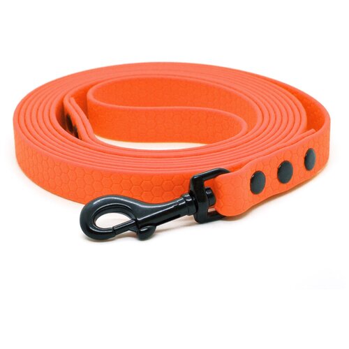 ���� ������� �� ������� 10 �, ������ 20 ��, Woofy 