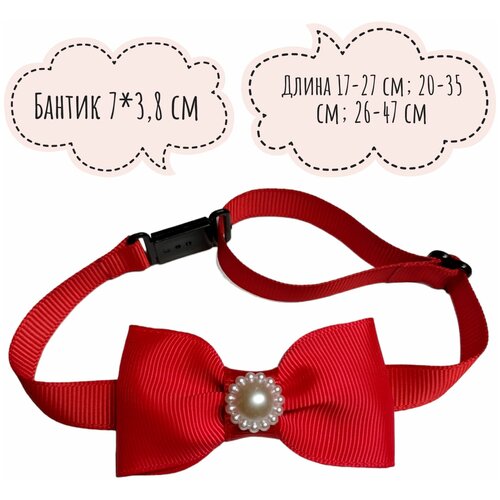 ���� ������� ������� ��� ����� � �����, ����� ������ ����� � ������� �����, ������ ������� ��� �������� 20-35 ��, ������ ������