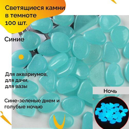 ���� ���������� ����� ��� ����, ����������, ��� ���������, ��� ������, �������������� �����, �������� 100 ��, �����, ������ ������