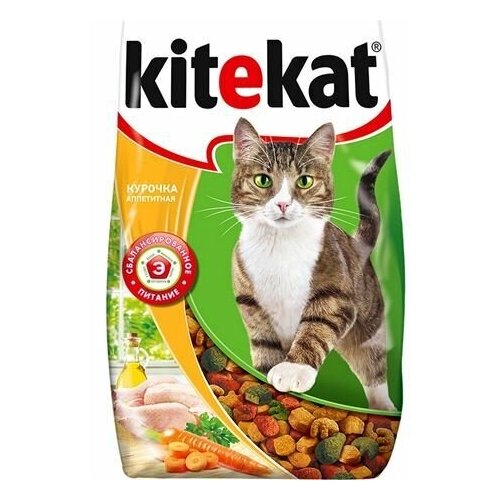     Kitekat      800, 4    -     , -,   