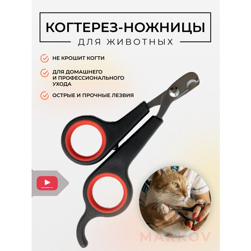 ���� �������� ��� ����� � ����� ��������� Markov, ������� ��� ��������, ��������� ��� ����� ������� � ������ �����. ������� ��� �����, �������, ������ ������