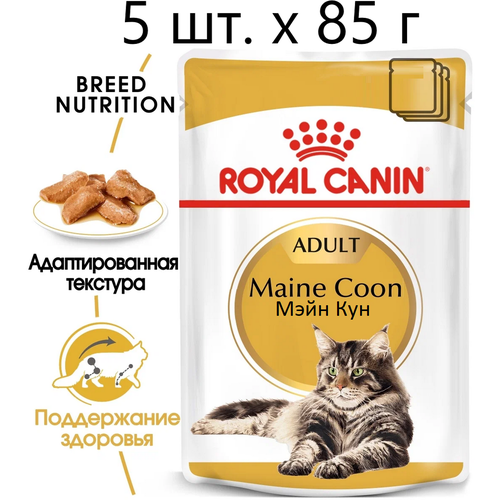      Royal Canin Maine Coon Adult,     -, 5 .  85  (  )   -     , -  