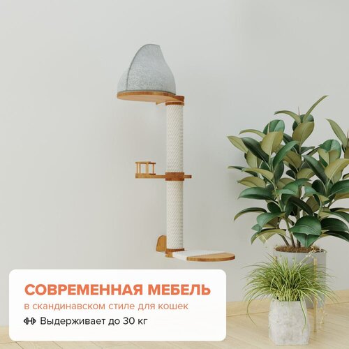 ���� ���������� ��� ����� �� ������������ ���� 100 �� 3 ������ Catsby Family WALL, ������ ������