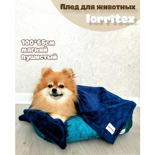 ���� ����, ���������, ������, ����� ��� ��������, ����� � ����� Lorritex 100*65��, �����, ������ ������