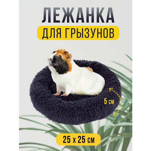 ���� ������� ������� ������� 25�25 �� ��� ������ �������� � ������, ����� ��� ������, ������� ������, �������� ������, ������ ������