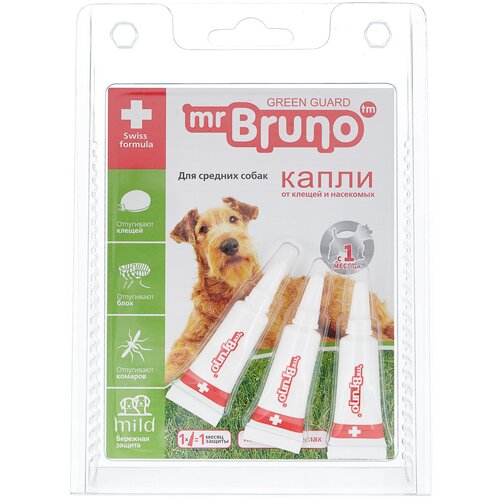   MR. BRUNO  Mr.Bruno   , 2,5 
