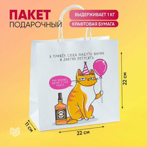 ���� ����� ���������� �����, 22 ? 22 ? 11 ��, ������ ������