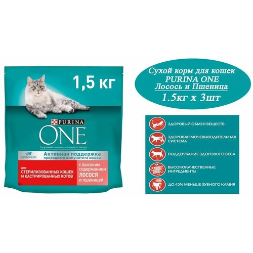      Purina ONE Sterilised 1.5  3  ,       -     , -  