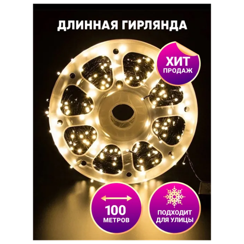   -  100 \     \   220\ NewLamp   -     , -  