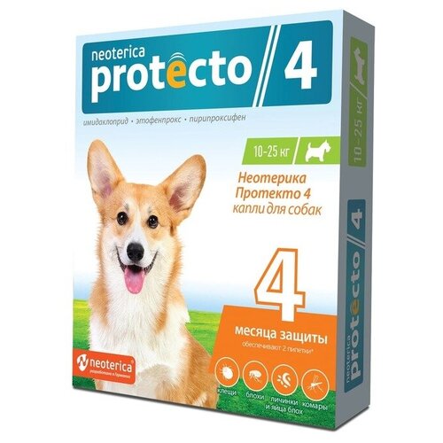   NEOTERICA     Protecto   10-25 , , 2    -     , -,   