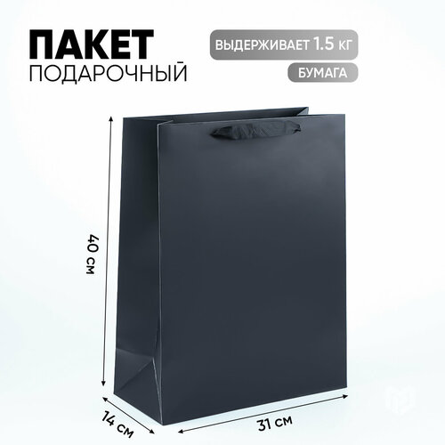 ���� ����� ���������� �������������� �׸����, ������� 31 ? 40 ? 14 ��, ������ ������