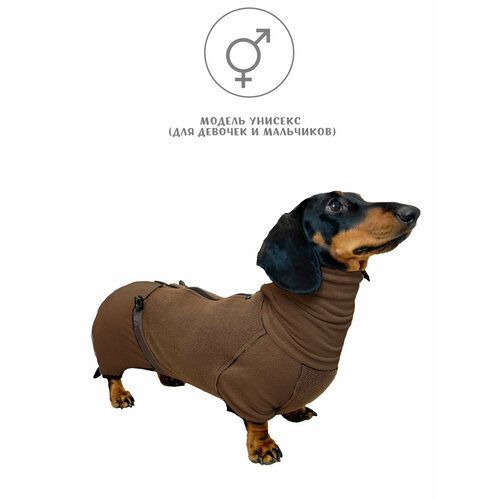 ���� �������� ���������� ��� ����� ������ �����, ���� ����������, ������ ��2, ������ ������