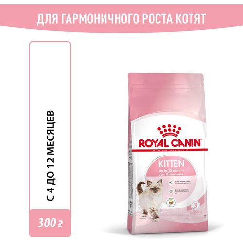      Royal Canin Kitten ()   , 0,3    -     , -  