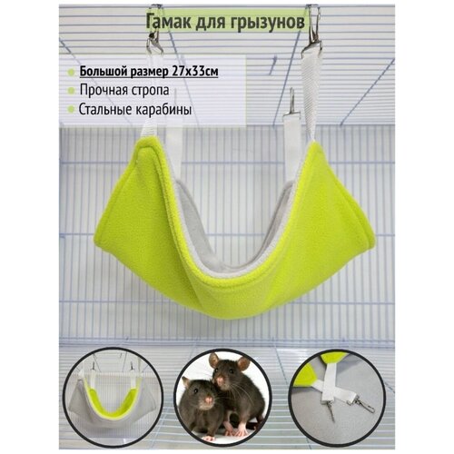 ���� ����� ��� �������� 