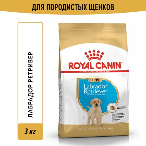     Royal Canin Labrador Retriever Puppy (  ),        15 , 3    -     , -  