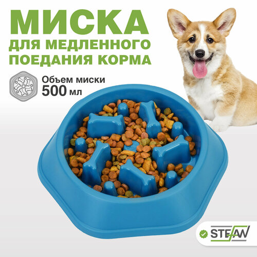 ���� ����� ��� ����� � ����� 