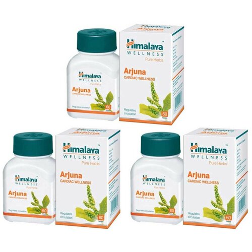      (Arjuna Himalaya)  ,   , 360 .   -     , -  