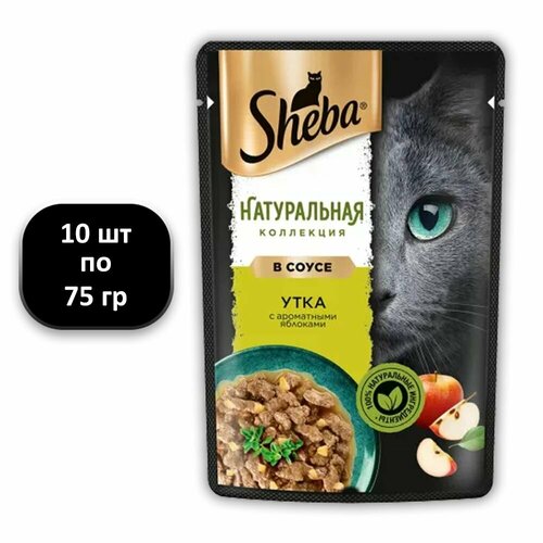  (10 .) 75 , Sheba,  ,  ,  ,      -     , -  