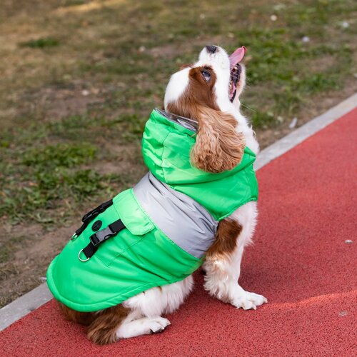 ���� ������� ��� �����, ������ ��� ����� 