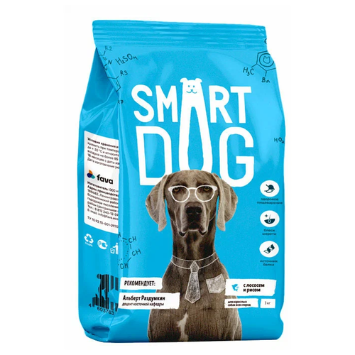      Smart Dog ,   1 .  1 .  3000    -     , -  