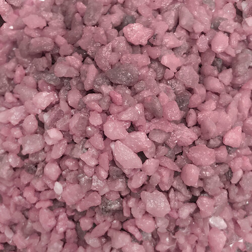 ���� ����������� ����� ��� ���������, ����������, ����������� � ��������, Zoo One, ��������� ��������, ������� 