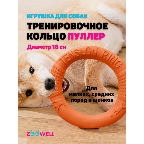 ���� ������� ��� �����, ������ ��� �����, ���������, 18*18*3�� , ZDK Petsy, ������ ������