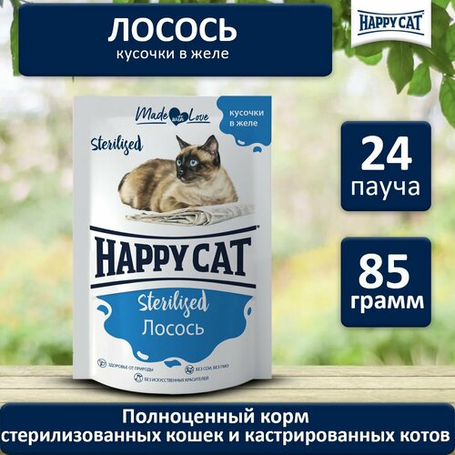         (Happy Cat)    ,  (24*85)   -     , -  