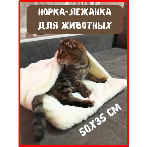 ���� �������-�����, ��������� � ������ ��� �������� 50�35 ��, ������� ����� ���� ��� ����� � �����, ������ ������