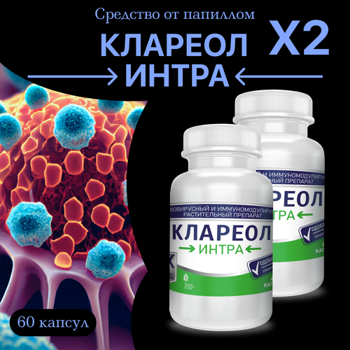 ���� �������� �� ��������� � ��������, 2 ��, 120 ������, ������ ������