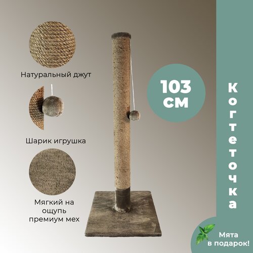 ���� ���������� ������� �� ����� 103 �� ��� ����� ����� ��������(����-���), �������� �������� �����, ����� �������, ����������, ������ ������