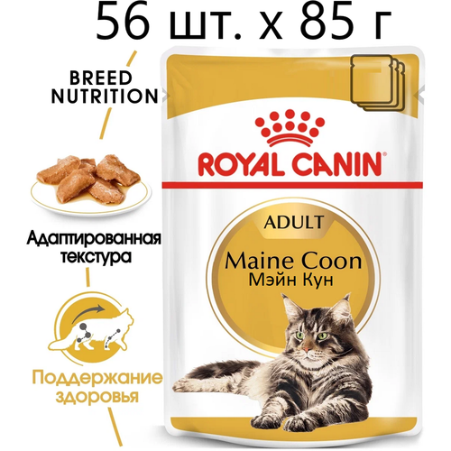      Royal Canin Maine Coon Adult,     -, 56 .  85  (  )   -     , -  