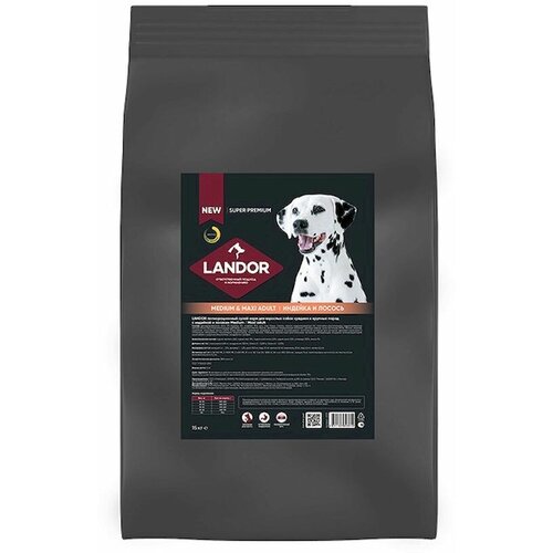    Landor Adult Dog    c    c    15    -     , -  