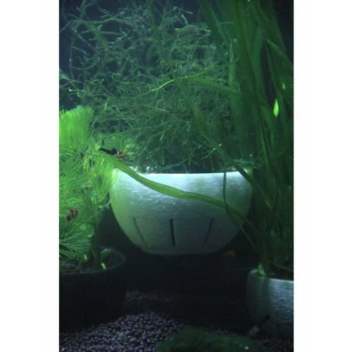 ���� ������ ��� ����������� �������� � ��������� � ������� 